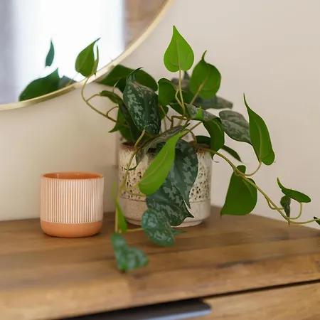 Gingersnap With Log Burner By Letmestay Casa de Férias