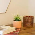 بيت للعطل Gingersnap With Log Burner By Letmestay آمبيلسايد